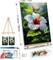 Floral Paint-by-Numbers Kit for Adults (8x12") – DIY Canvas Painting with Frame & Easel, Adult Art Kit for Gifts & Home Wall Decor